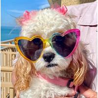 Ruby Joy Enterprises