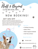 Fluff & Beyond - Clive
