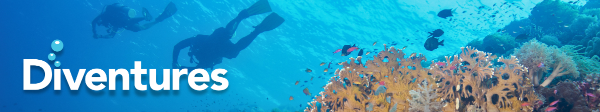 Diventures Diventures