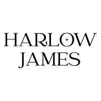 Harlow + James Plus-Size Boutique to be Featured on Bloomberg TV