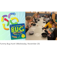 Yummy Bug Hunt