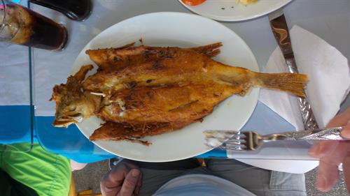 Fresh fish caught in Ayangue Equador