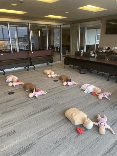 We bring the CPR training to you!