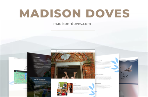 Gallery Image Screenshot_(215).png