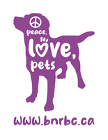 Barks and Recreation Pet Services Inc.