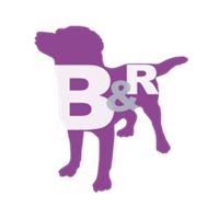 Barks and Recreation Pet Services Inc.