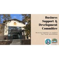 Business Support & Development Committee Meeting