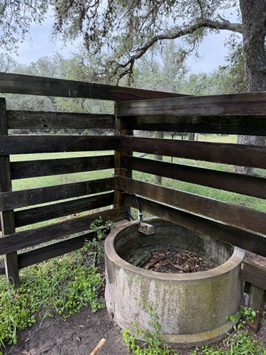Fence wash (before)