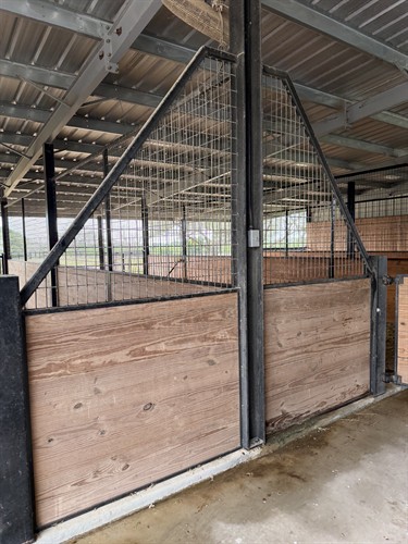 Horse barn wash