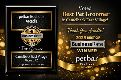 Best Groomer Award 2025