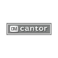 DM Cantor's Family Law Practice