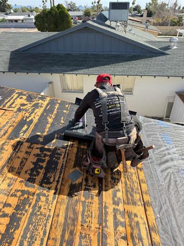 shingle roofing replacement