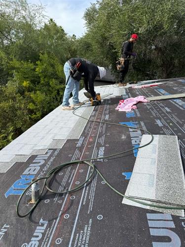 shingle roofing replacement