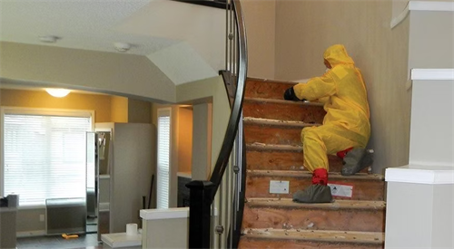 Gallery Image clean_-4.png