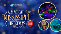 A Magical Mississippi Christmas