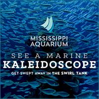 Mississippi Aquarium