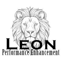 Leon Performance Enhancement