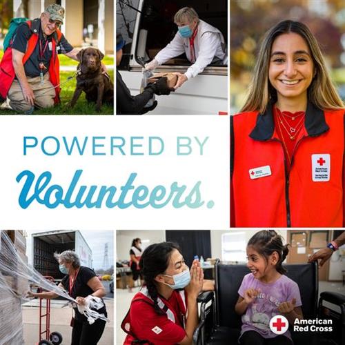 Volunteers carry out 90% of the humanitarian work of the Red Cross.