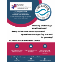 Small Business Development Consultations