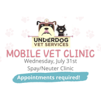 Mobile Veterinary Services Dental Day