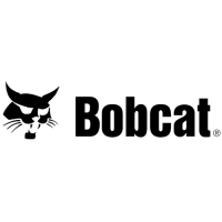 Bobcat
