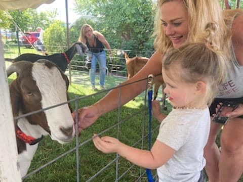 Meeting the goats at Goat Fest