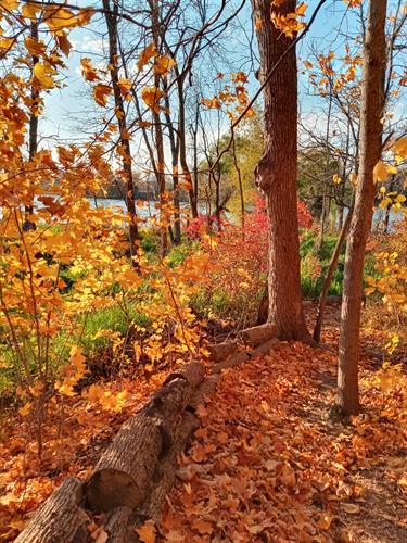 More than 4 acres of groomed trails to explore