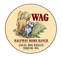 Cocktails with Casey