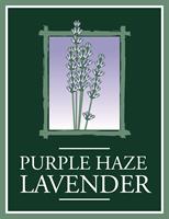 Purple Haze Lavender Farm Lavender Festival 2023