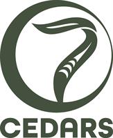 7 Cedars Pressents The Day After Halloween Party