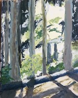 The Best of Blue Whole Gallery