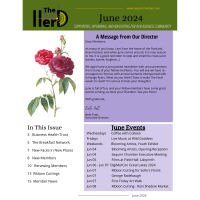The Herd June 2024