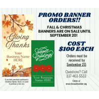 Fall & Christmas Promo Banners 2024