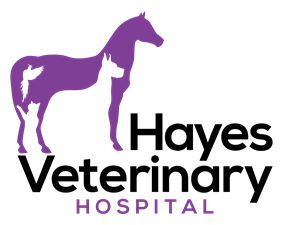 Hayes Veterinary Hospital, LLC