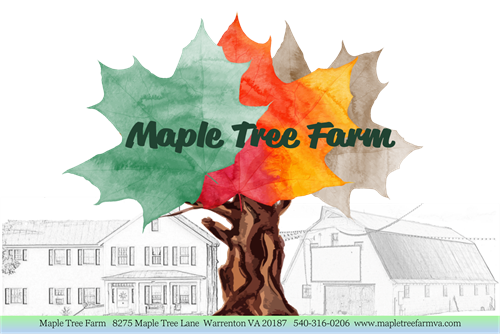 Maple Tree Farm
