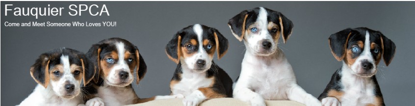 Fauquier SPCA Fauquier SPCA