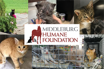 Middleburg Humane Foundation
