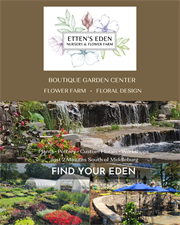 Etten's Eden