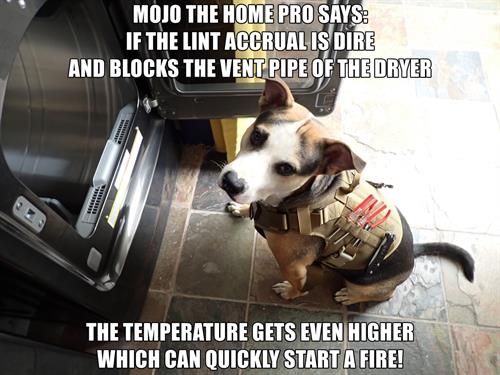 Mojo wants to prevent dryer fires