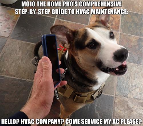 Mojo recommends annual HVAC maintenance