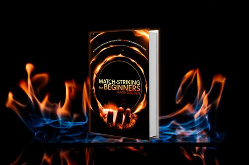 My book Match-Striking for Beginners: Activating Individual and Collective Power for a More Just World