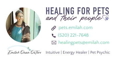Healing for Pets and Their People