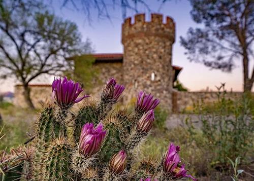 The Castle at Allure of the Desert