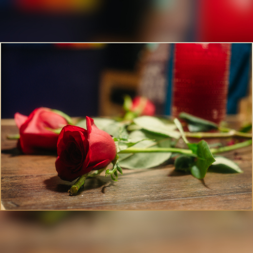 Gallery Image 10.png