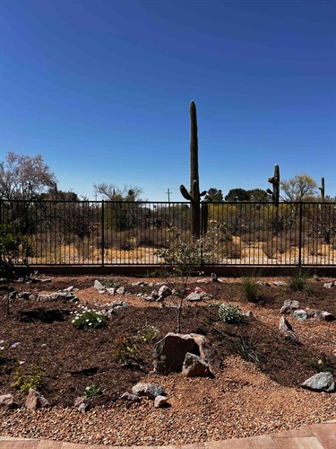 Ecological Gardens