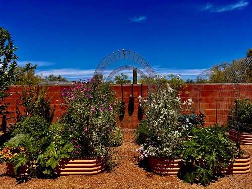 Edible Gardens