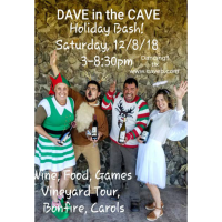 DAVE in the CAVE Holiday Bash at Cave B Estate Winery