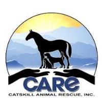 5th Annual Yard Sale CATSKILL ANIMAL RESUE