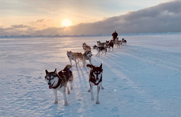 Gallery Image Dogsledding._not_original_image.jpg
