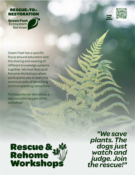 Gallery Image Native_Plant_Rescue_-_Graphics-11.png